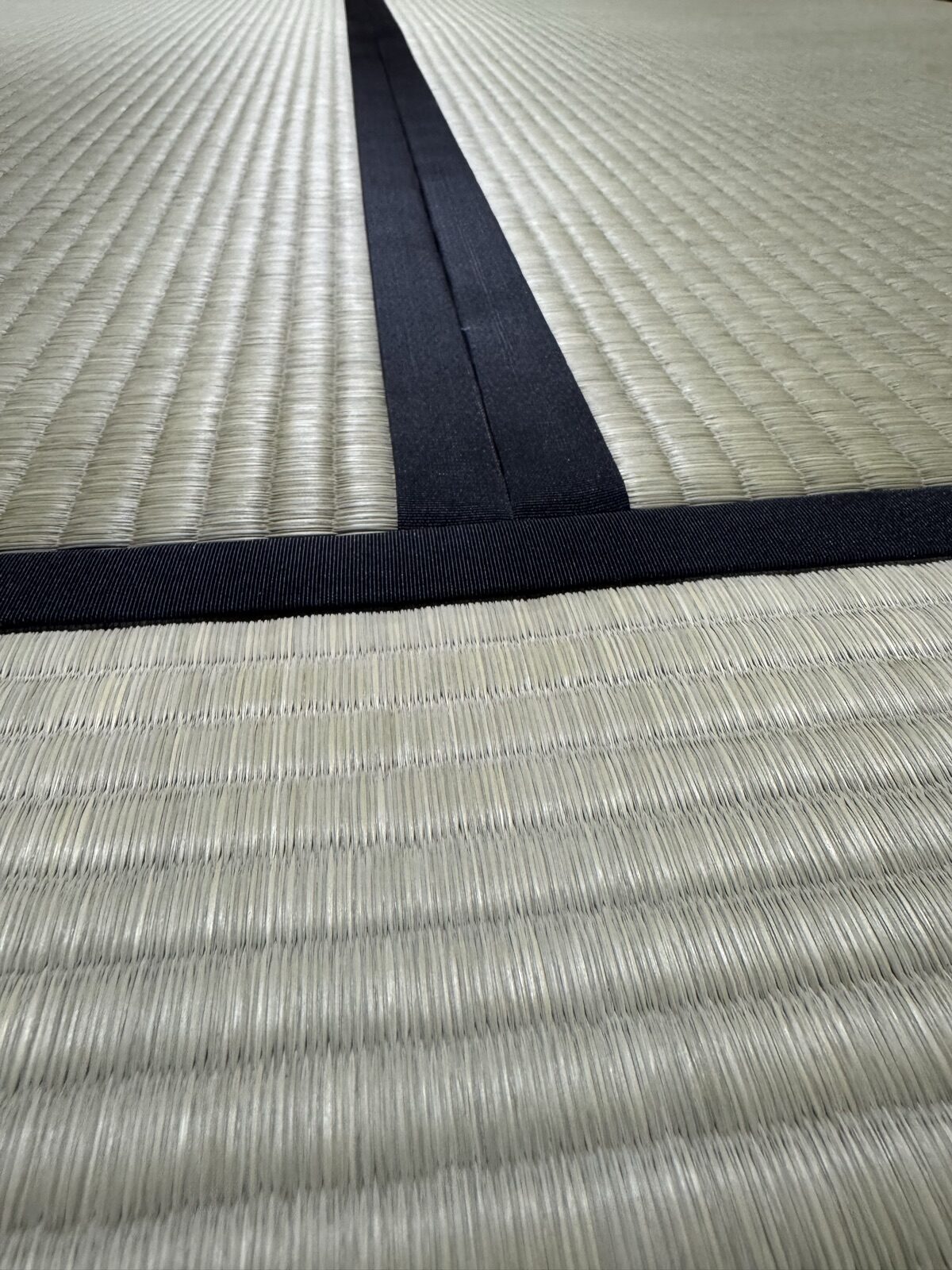 黒の無地縁のアップ。柄がない分、線が際立つ
