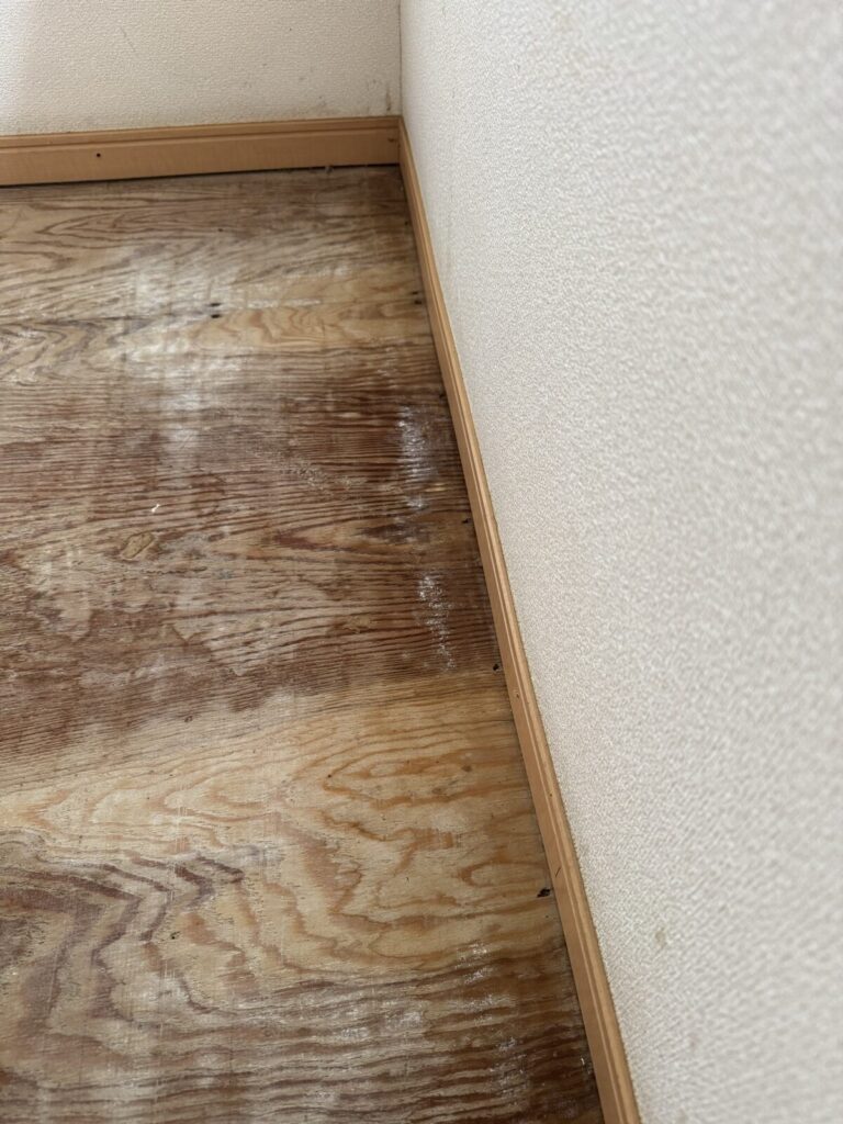 窓際の床に出ていたカビ。白っぽくなっている部分