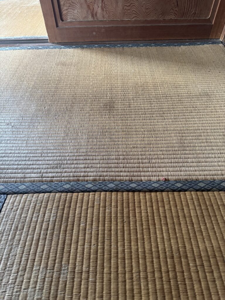 施工前の畳の表面